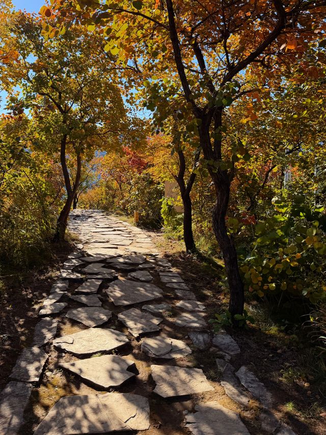 北京坡峰嶺,被國家地理認證的紅葉天花板! 北京坡峰嶺,被國家地理認證的紅葉天花板!