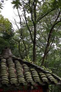不要門票不要門票