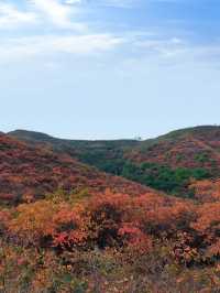 河南隱藏的秋日仙境:禹州鳩山紅葉谷