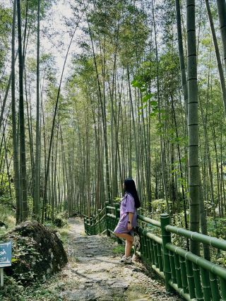 貓兒山輕鬆一日遊攻略：躺玩華南之巔