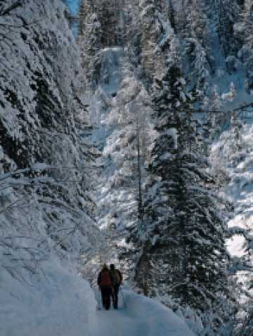 Free Winter Walk to Val Fex – Switzerland’s Quiet Alpine Paradise