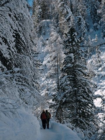 Free Winter Walk to Val Fex – Switzerland’s Quiet Alpine Paradise