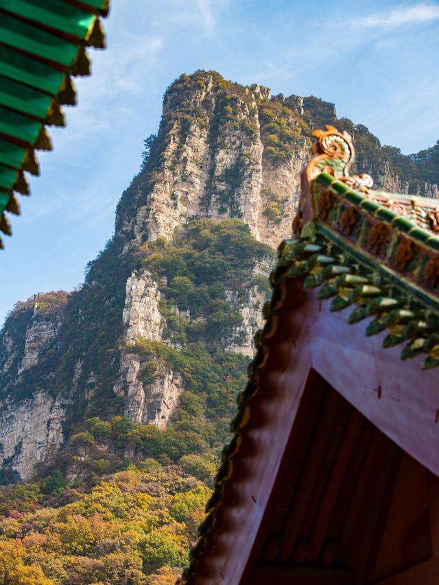 五老峰·秋|運城「雲端金脊」上線! 五老峰·秋|運城「雲端金脊」上線!