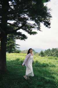 不是新疆!是湖北恩施被嚴重低估的高山草原!