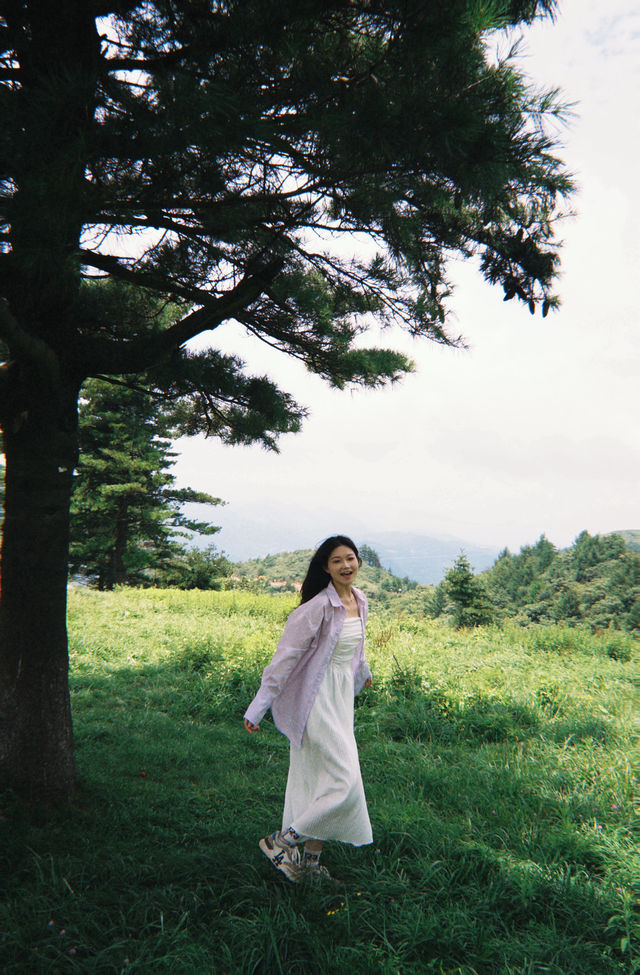 不是新疆!是湖北恩施被嚴重低估的高山草原! 不是新疆!是湖北恩施被嚴重低估的高山草原!