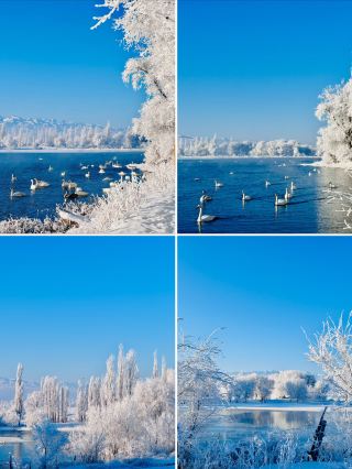 겨울 이리, 온통 푸른 얼음과 눈밭을 독점하는 고급스러운 여행법