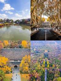 2天南京秋遊攻略 錯過等一年