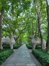 南京中山陵1日遊攻略