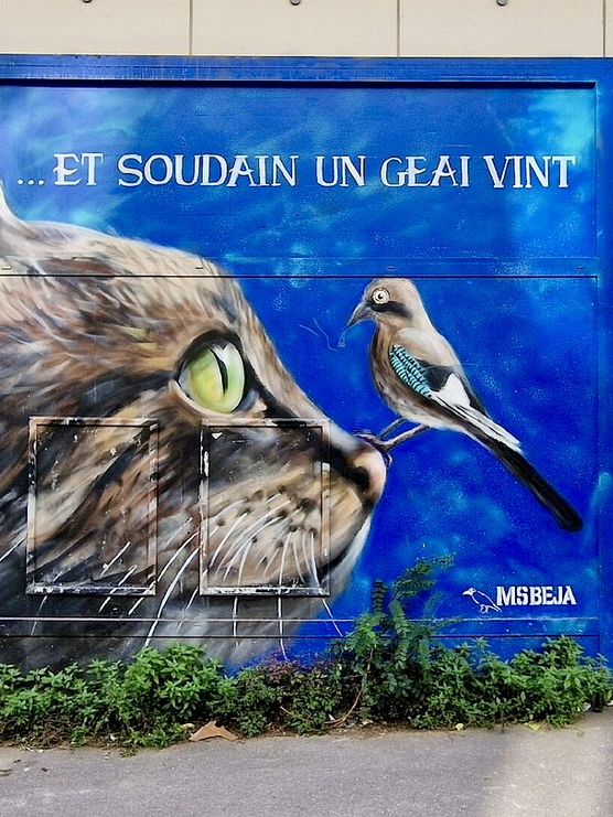 10 Cool and Quirky Things to Do in Paris! ✴️🗺