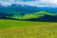 【震撼來襲】新疆喀拉峻景區全攻略!帶你開啟一場絕美的高原