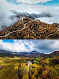 2025光霧山紅葉節，錯過等一年！