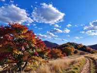 來密雲的紅花峪，這裡的景美得讓你震撼。
