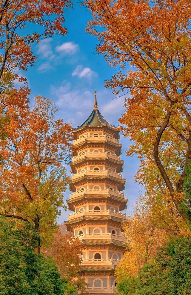 沒有一個城市比南京更懂秋天