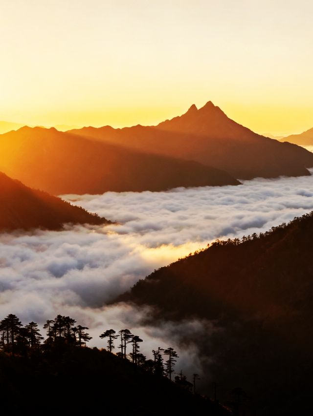 山臺灣中央山脈 山臺灣中央山脈