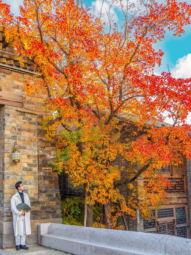 2小時逃離帝都！這座北方小江南美到犯規，居然還是李清照老家！