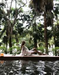 雨林野奢酒店指南