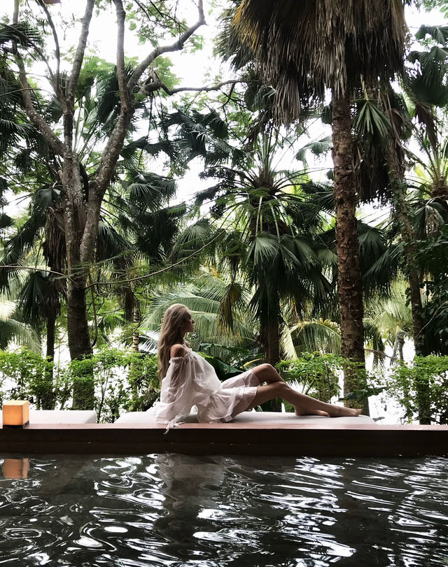 雨林野奢酒店指南 雨林野奢酒店指南