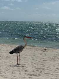 Delightful Experience at Chezelle Lounge