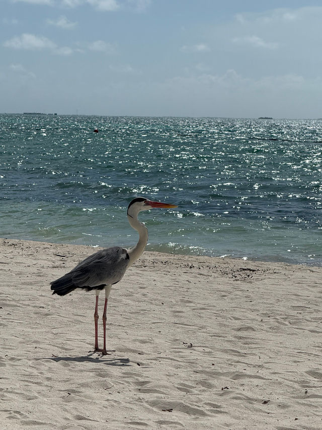 Delightful Experience at Chezelle Lounge