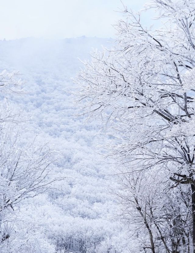 龍王山霧淞仙境冬日限定的冰雪奇緣打開方式