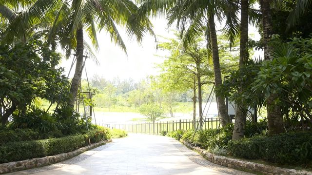 瓊海,不止有博鰲!這份慢遊攻略帶你解鎖「海南味」最濃的小城 瓊海,不止有博鰲!這份慢遊攻略帶你解鎖「海南味」最濃的小城