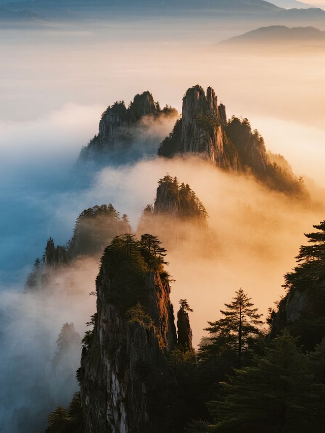 帶娃遊莽山！不用爬山的雲海親子之旅