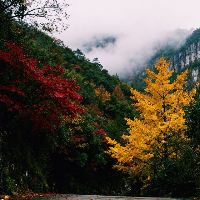 霧鎖江南·徒步雪竇嶺的水墨秘境｜初冬徒步天花板！