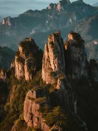 郴州莽山！帶娃解鎖不用爬的山