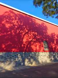 南京鼓樓公園600年古韻味明鼓清碑太出片打卡