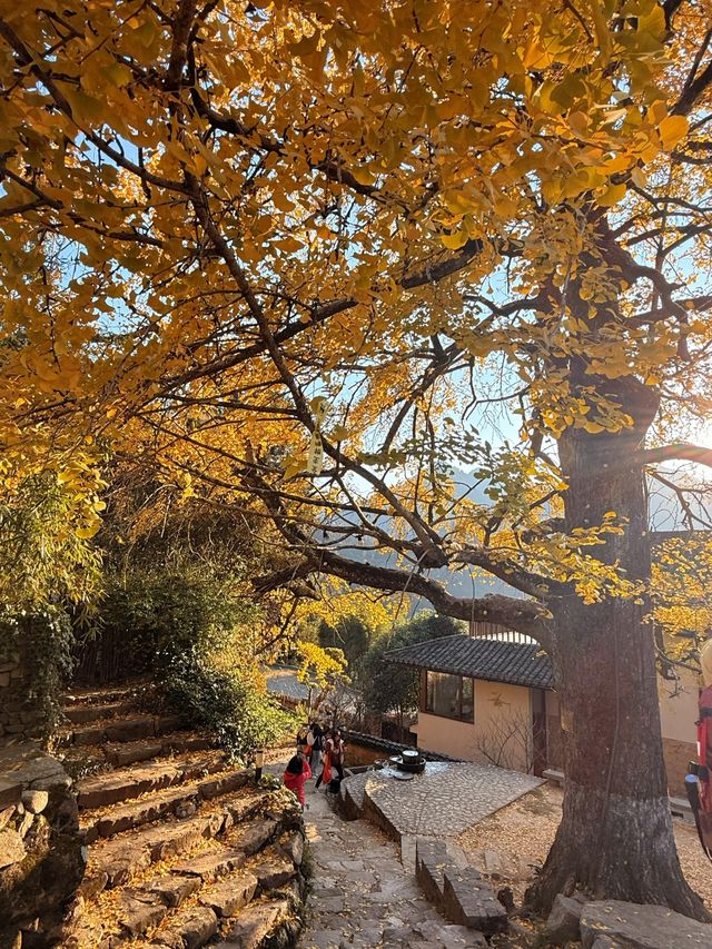 杭州周邊寶藏！紅葉指南村，秋日大片天花板