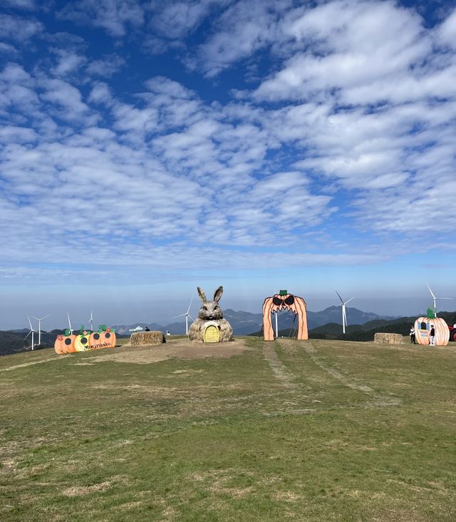 週末衝仰天湖剛好趕上霧淞收尾雙重驚喜 週末衝仰天湖剛好趕上霧淞收尾雙重驚喜