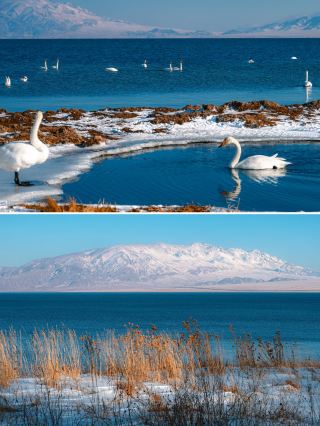 A Dream of Distant Places: Exploring Altay and Sayram Lake