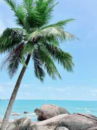 三亞5天4晚情侶漫遊攻略｜看完直接抄作業，浪漫到不想回家！