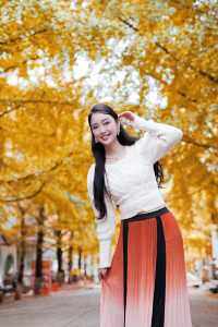 接下來這將是廣東賞秋天花板……