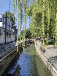 紹興沈園|千年愛情絕唱