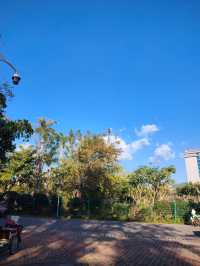 闖入普洱秘境被這片鋪天蓋地的藍治癒了