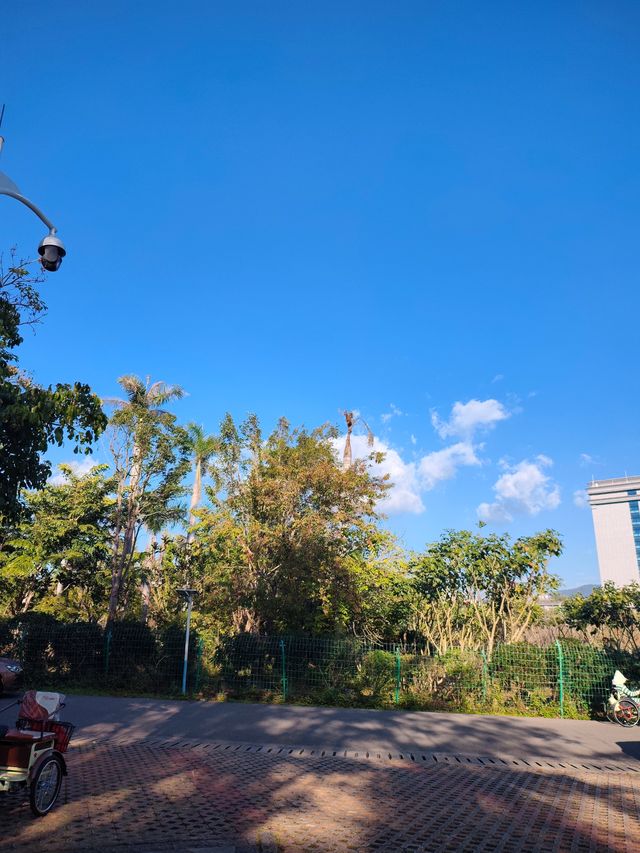 闖入普洱秘境被這片鋪天蓋地的藍治癒了 闖入普洱秘境被這片鋪天蓋地的藍治癒了