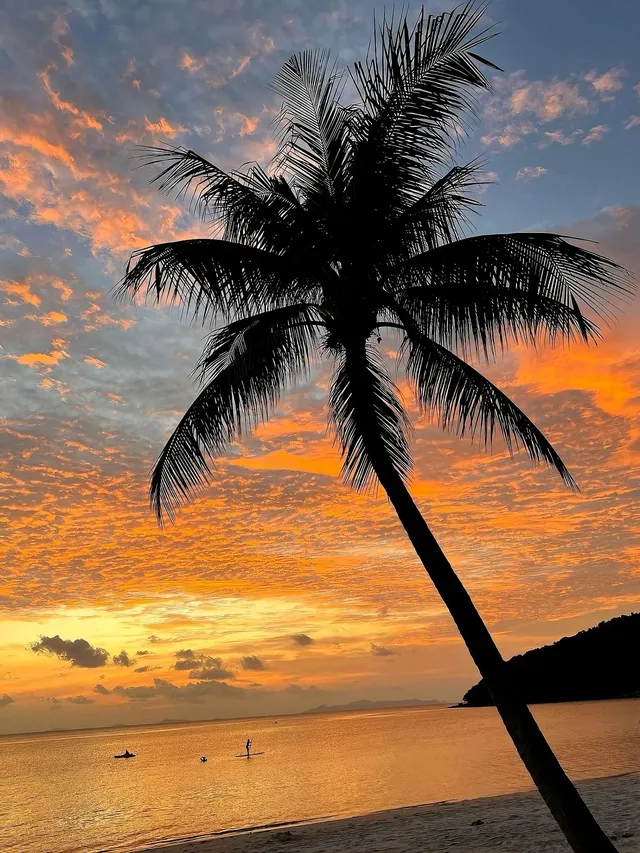 春節別墅趴！蘇梅島海景豪宅，16人狂歡