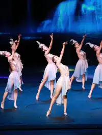 張家界千古情：銀票狂歡一日遊