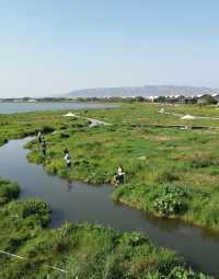 沙漠看海奇幻旅|一半沙漠一半湖的塞北秘境