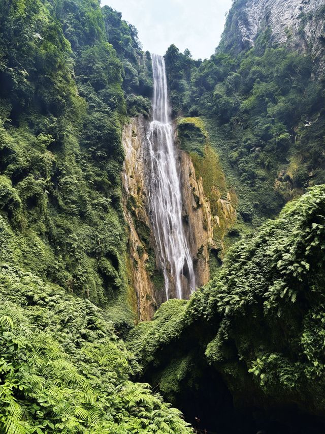 百色2日遊｜秋天去真的美到犯規