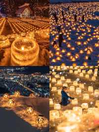 北海道定制遊秋冬天花板！懶人出遊巨省心