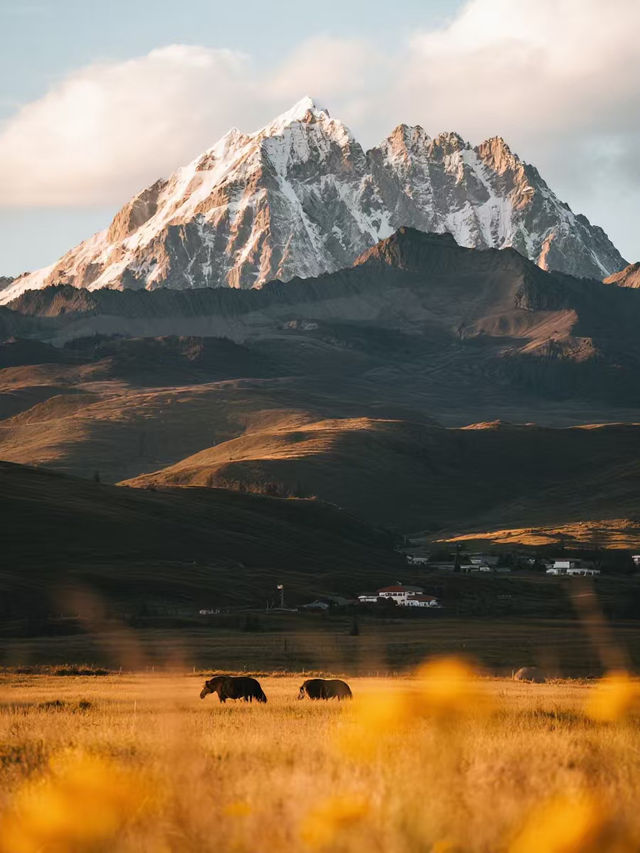 亞拉雪山景區12月親子遊小眾冰雪秘境