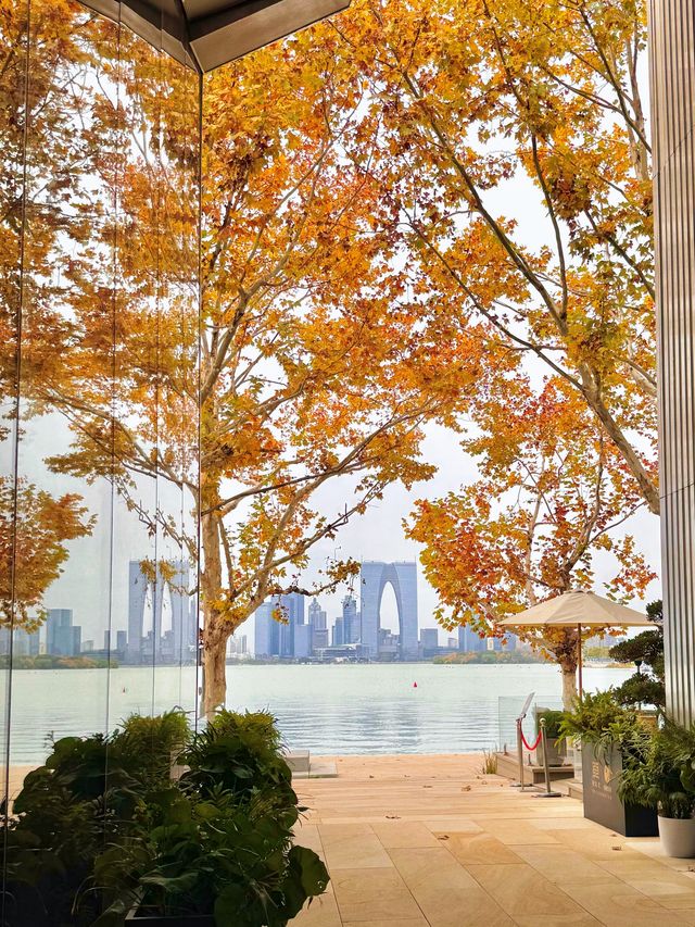 陰天也別有風味!金雞湖秋色已美成油畫 陰天也別有風味!金雞湖秋色已美成油畫