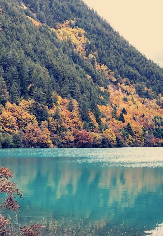 秋日童話九寨溝