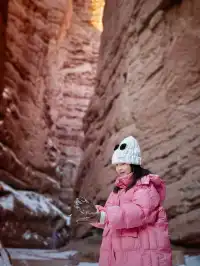 不望祁連山頂雪，錯把張掖當江南