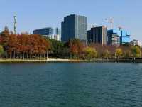 魔都秋日秘境大寧公園的絕美森林太出片了!