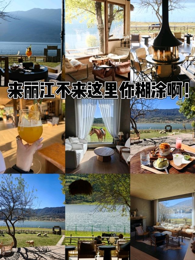 麗江的阿勒泰 文海村這家咖啡館一定要去❗️ 麗江的阿勒泰 文海村這家咖啡館一定要去❗️