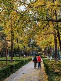 西安城牆賞秋好去處