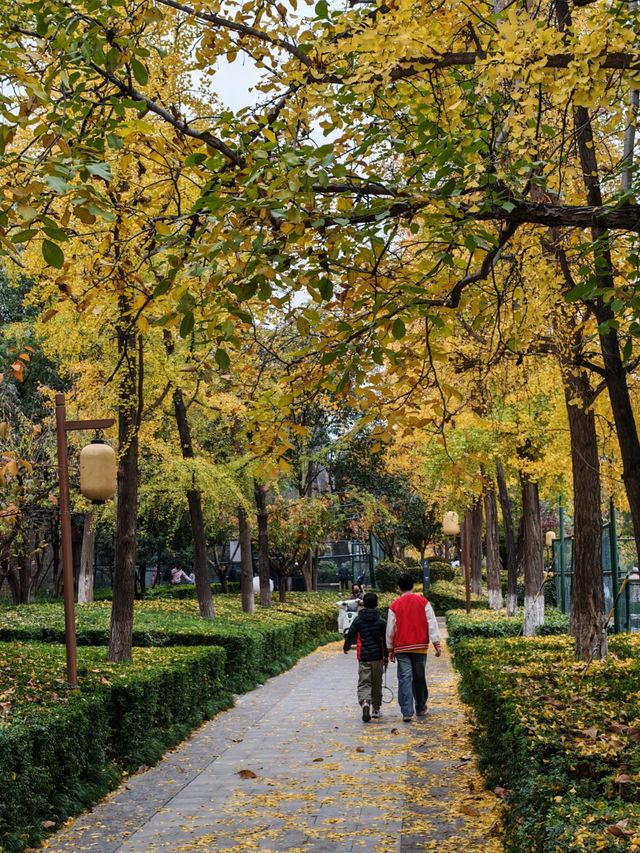 西安城牆賞秋好去處 西安城牆賞秋好去處